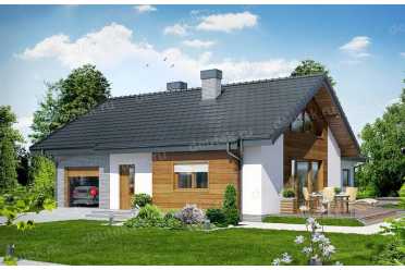 Проект европейского одноэтажного дома с камином 12 на 20 метров DTS100017
